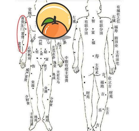 前手臂有痣|從手上的痣看你的好運在哪？上手臂有痣善於察言觀色。